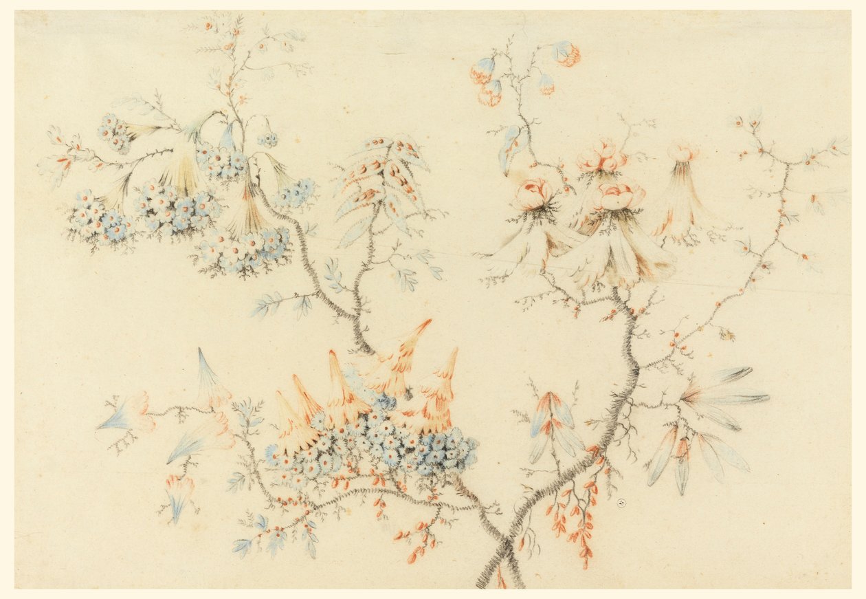 Dibujo, Ramas en flor, 1775-1800 de Jean Baptiste Pillement