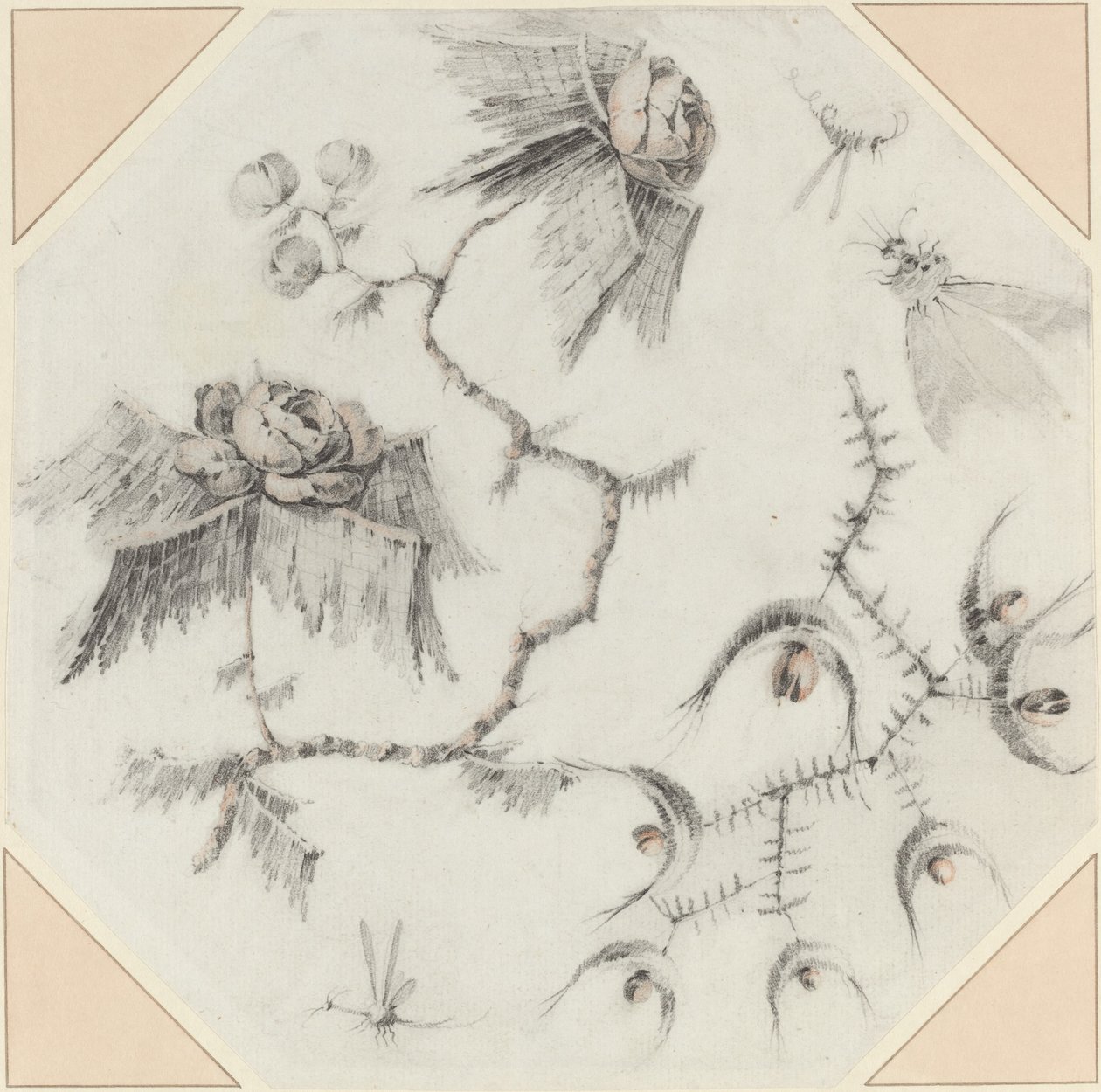 Flores y bichos fantásticos de Jean Baptiste Pillement