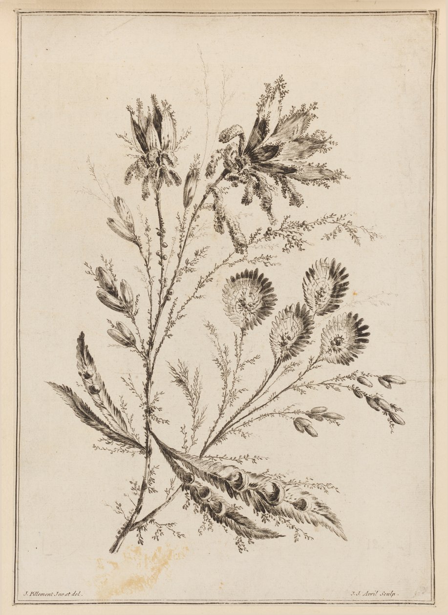 Rama de flores de Jean Baptiste Pillement