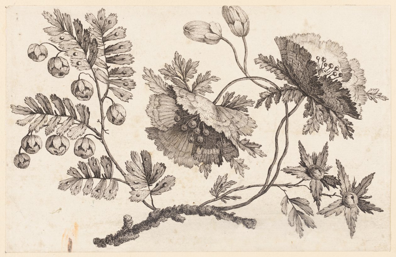 Rama de flores, de "Recueil de Fleurs Chinois" de Jean Baptiste Pillement