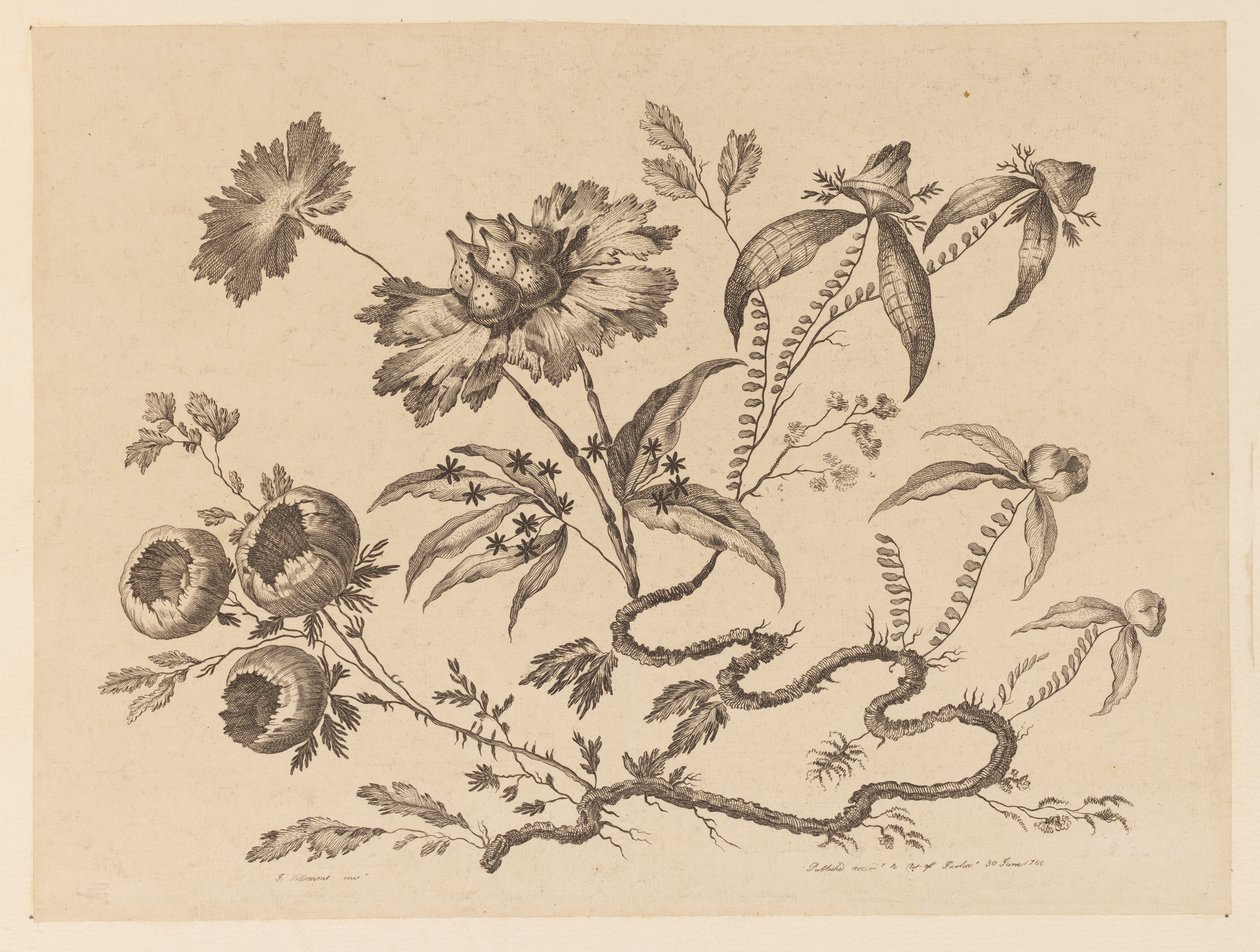 Ramas de flores, de "Recueil de Differentes Fleurs de Fantaisie Dans le Goût Chinois" de Jean Baptiste Pillement