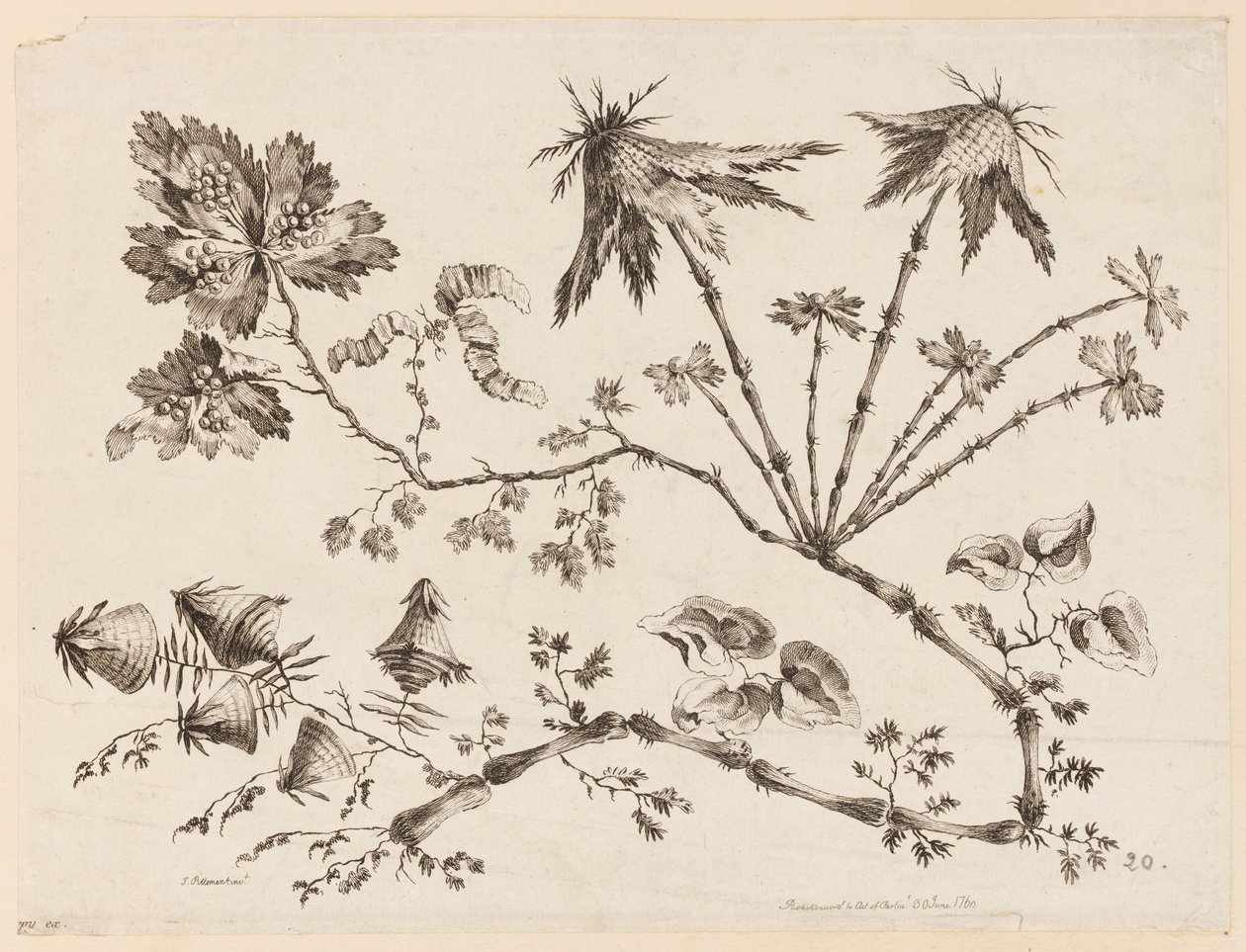 Ramas de flores, de "Recueil de Differentes Fleurs de Fantaisie Dans le Goût Chinois" de Jean Baptiste Pillement