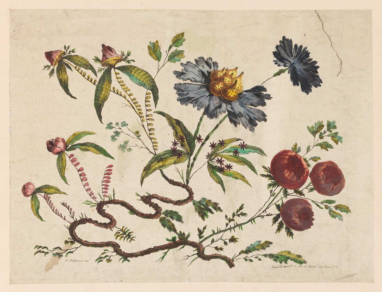 Ramas de flores, de "Recueil de Differentes Fleurs de Fantaisie Dans le Goût Chinois" de Jean Baptiste Pillement