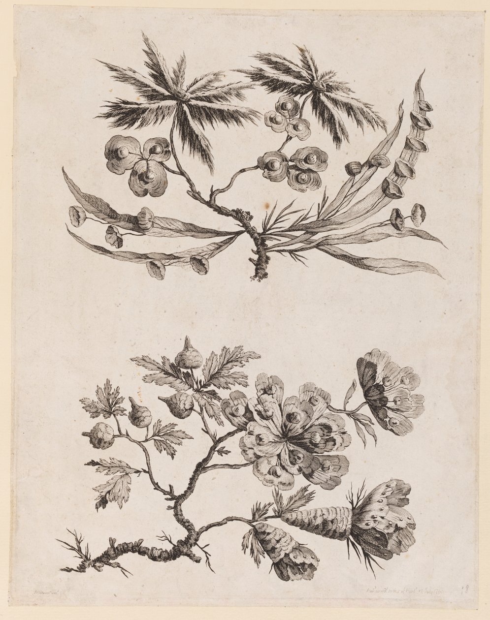 Ramas de Flores de, "Recueil de Fleurs Chinois" de Jean Baptiste Pillement