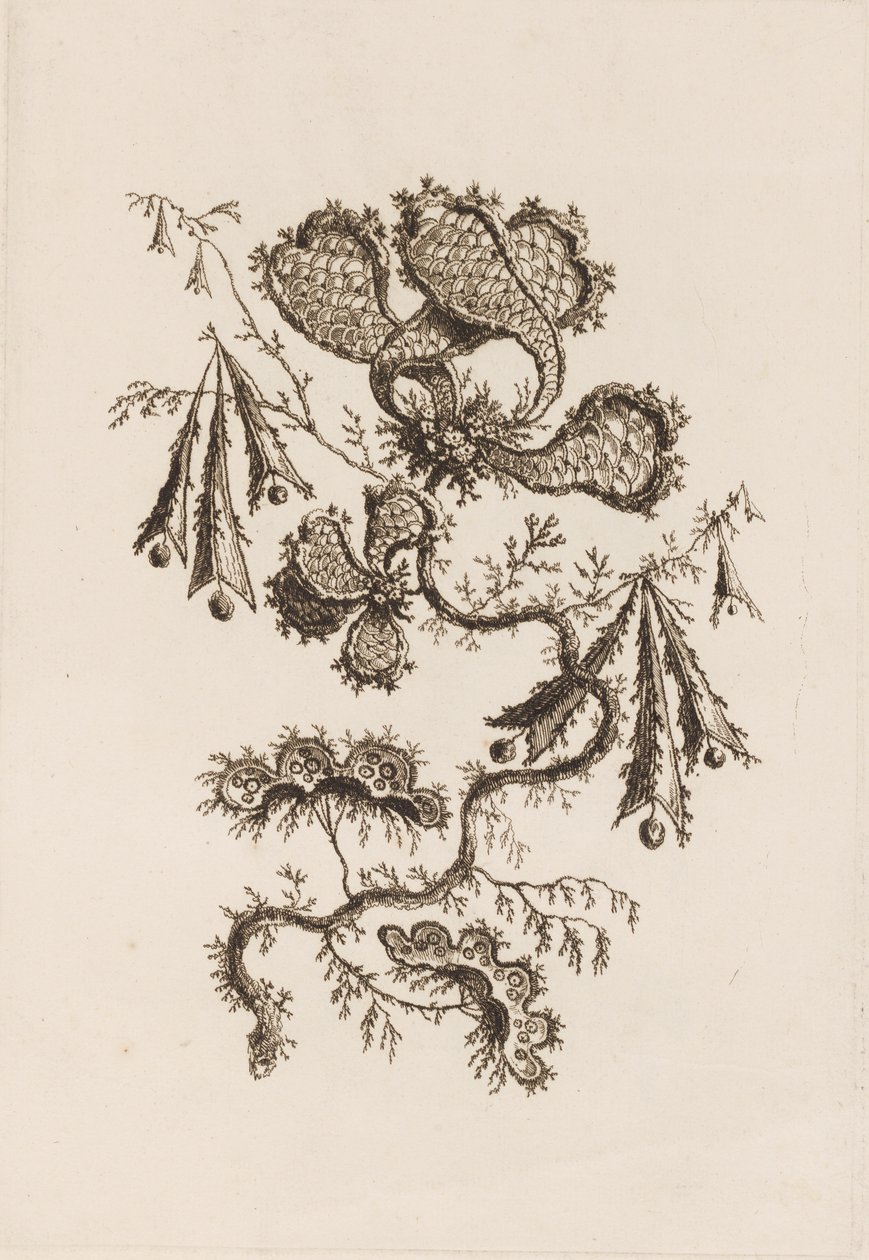 Rama de flores, de "Fleures Persannes" de Jean Baptiste Pillement