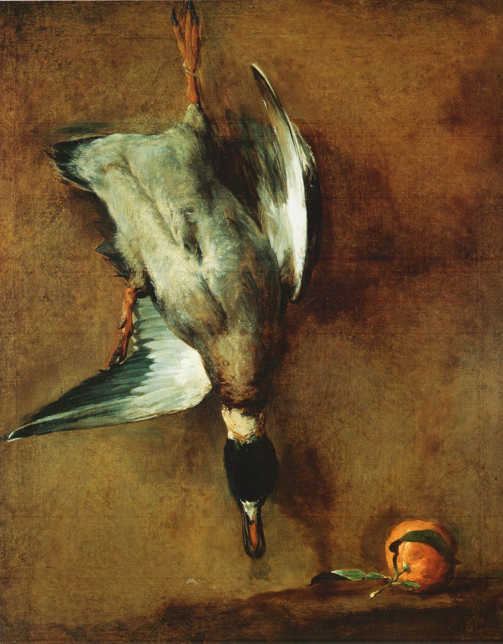 Un pato de cuello verde atado a la pared y un bígaro de Jean Baptiste Simeon Chardin