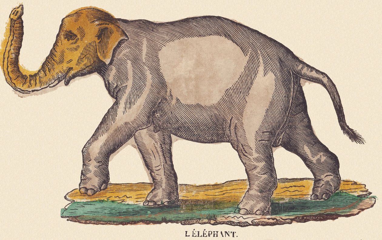 El elefante, c.1840-1852 (litografía) de Jean Baptiste Thiebault