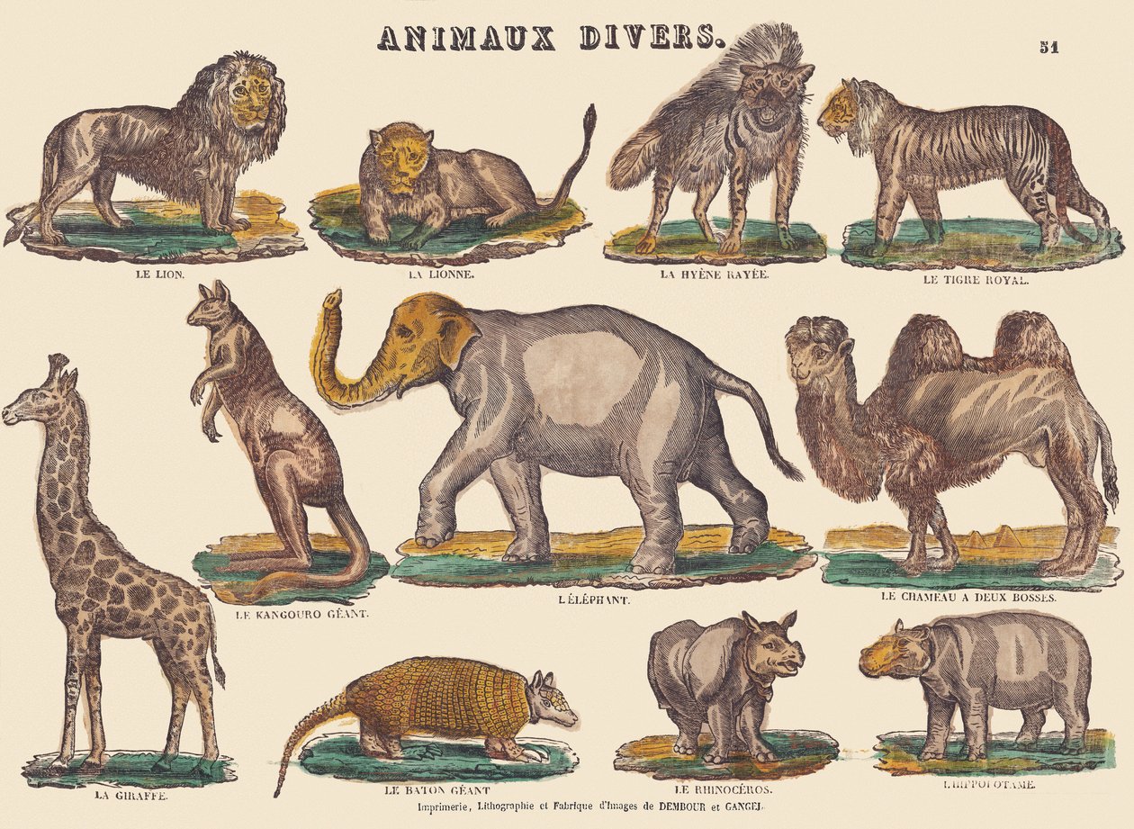 Varios animales, c.1840-1852 (litografía) de Jean Baptiste Thiebault