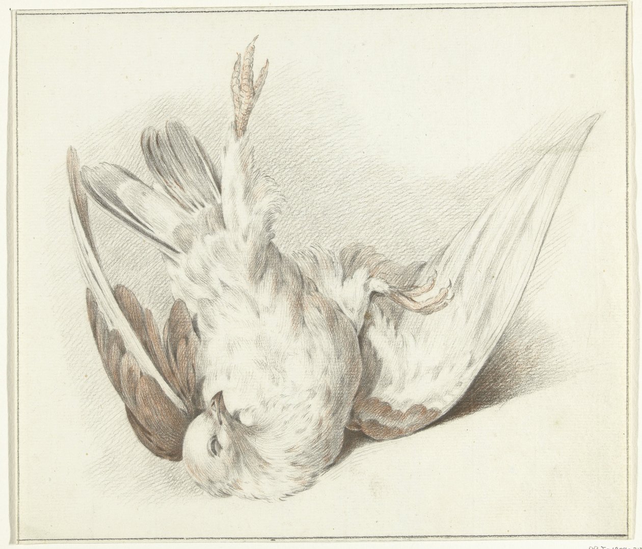 paloma muerta de Jean Bernard