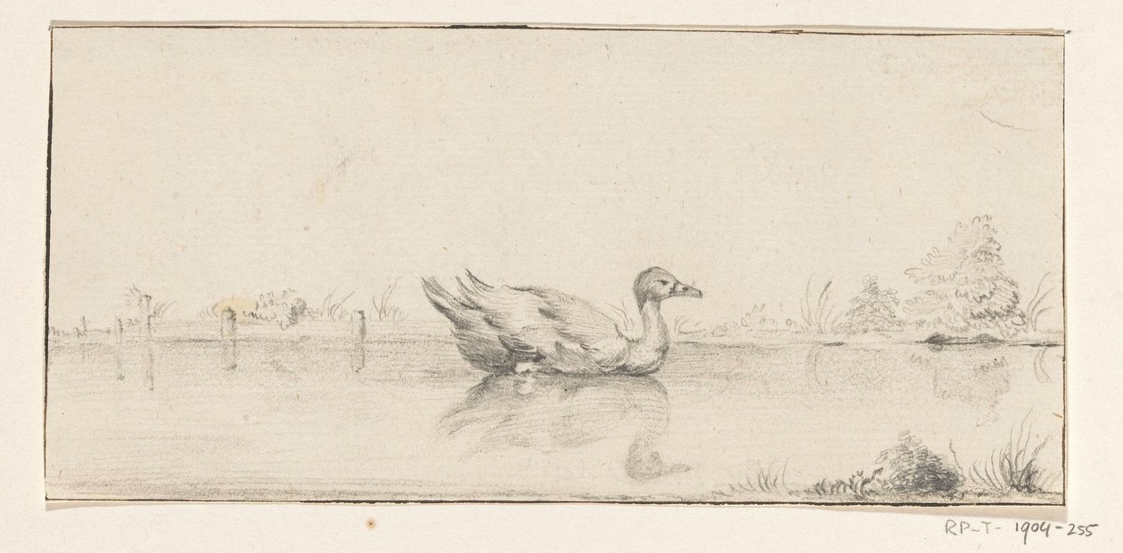 pato en el agua de Jean Bernard