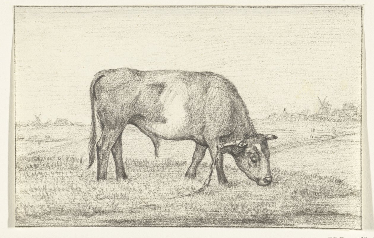Toro pastando en un prado, a la derecha de Jean Bernard