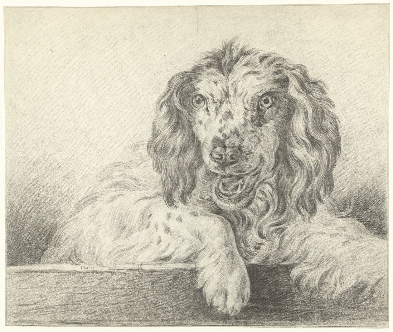 Hond de Jean Bernard