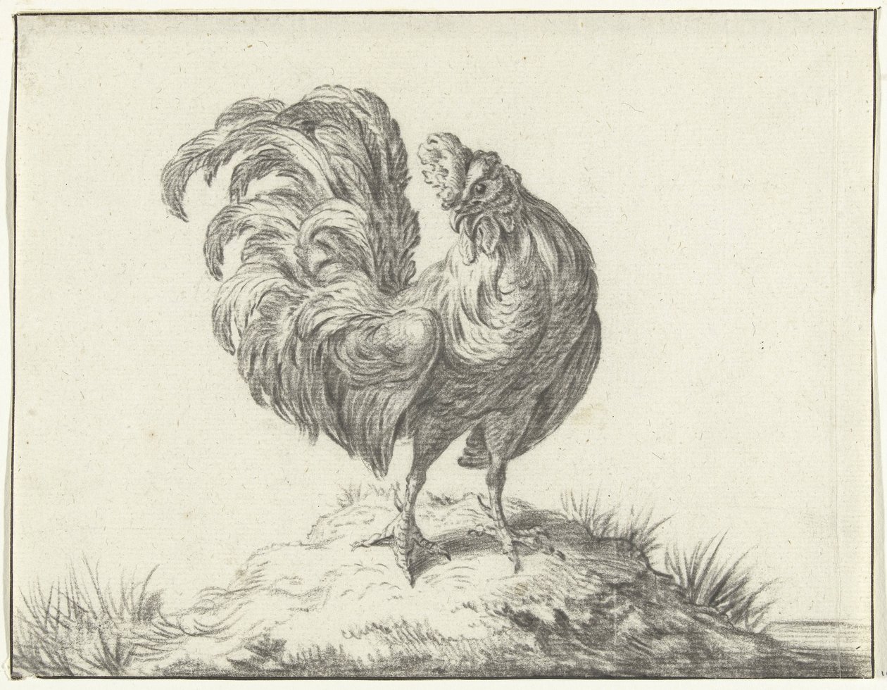 Pollo parado en una colina de Jean Bernard
