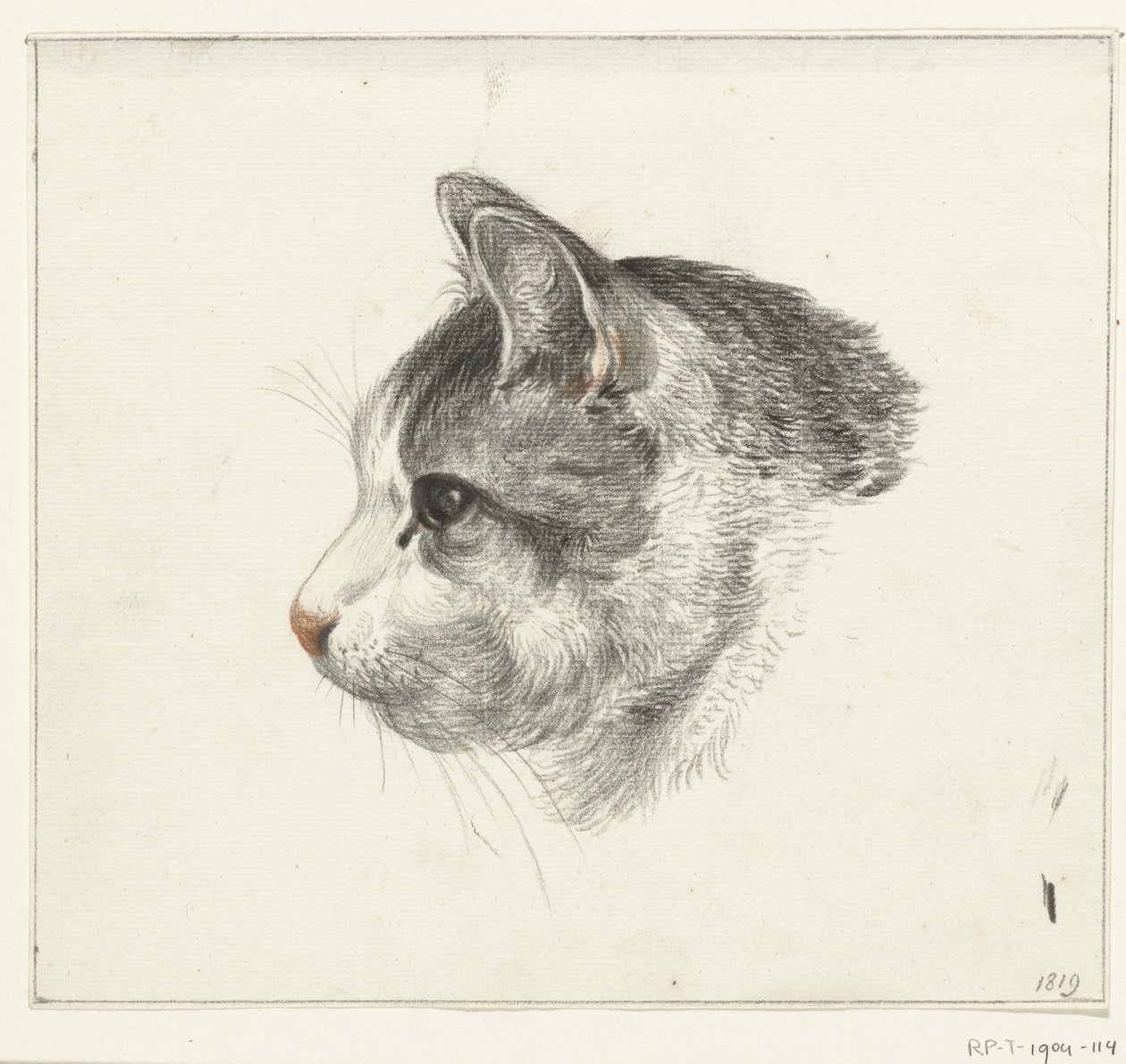 Cabeza de gato, a la izquierda de Jean Bernard