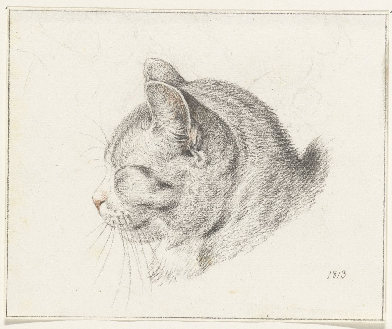 Cabeza de gato, a la izquierda de Jean Bernard