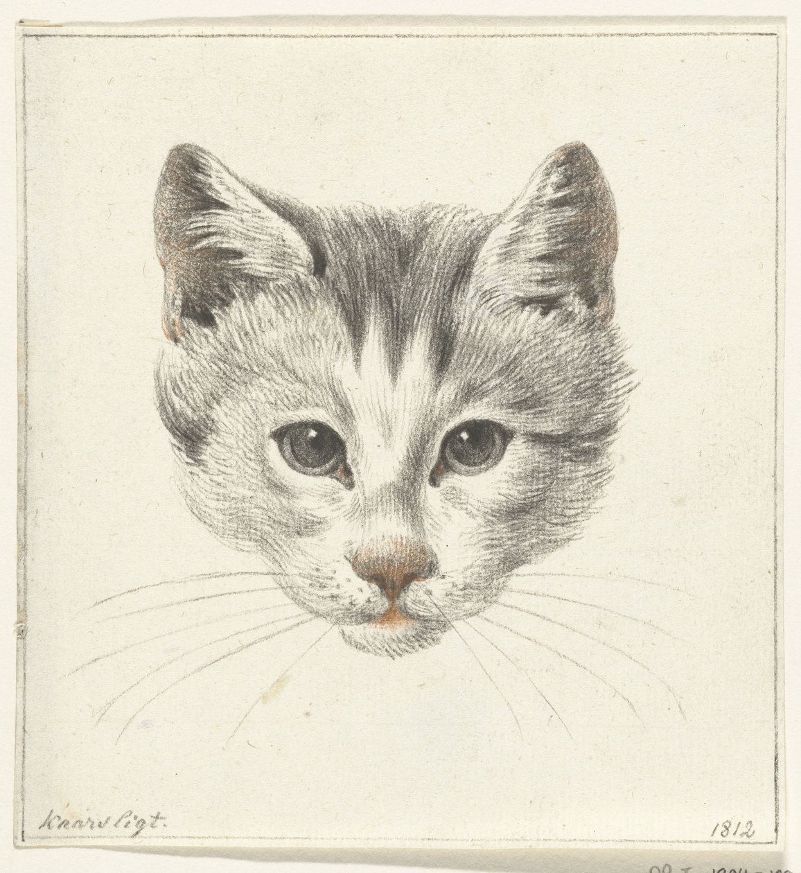Cabeza de gato, vista de frente a la luz de las velas de Jean Bernard