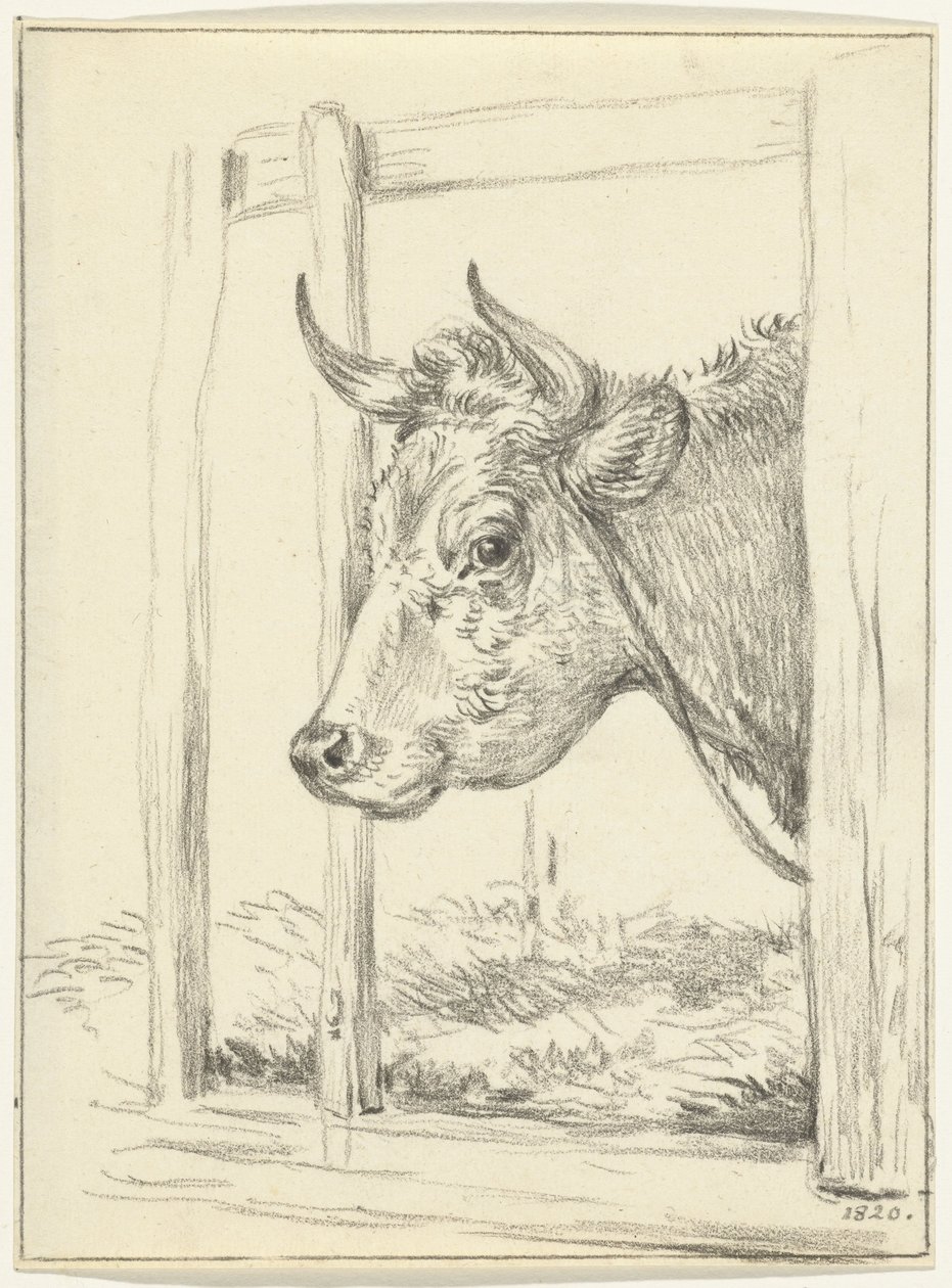 Cabeza de vaca, en un establo, a la izquierda de Jean Bernard