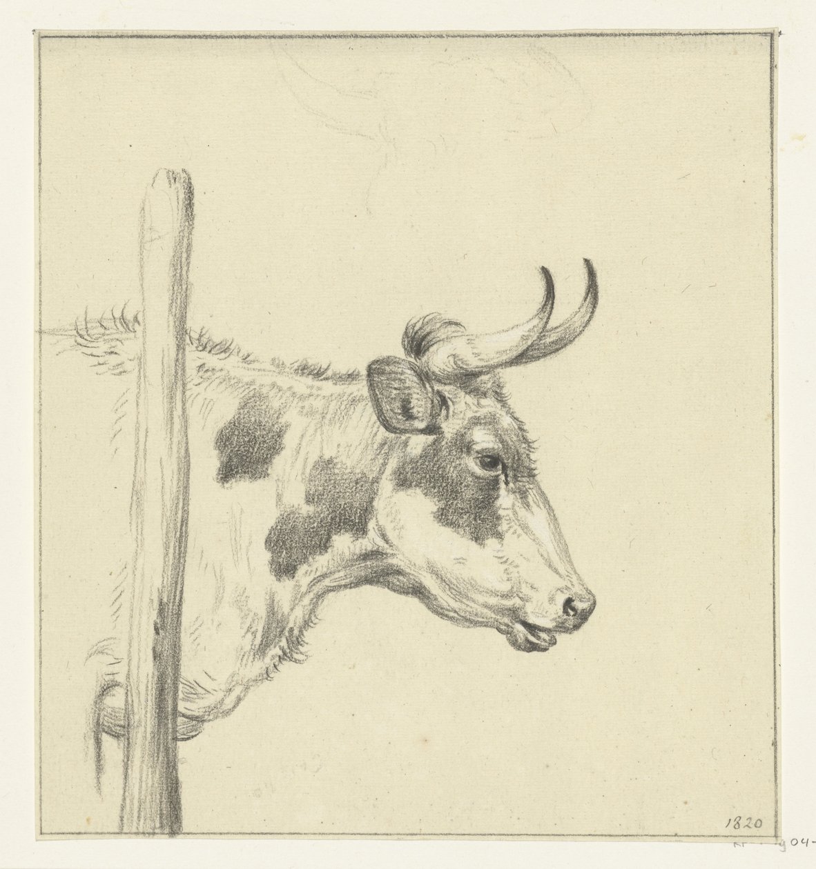 Cabeza de vaca, a la derecha de Jean Bernard