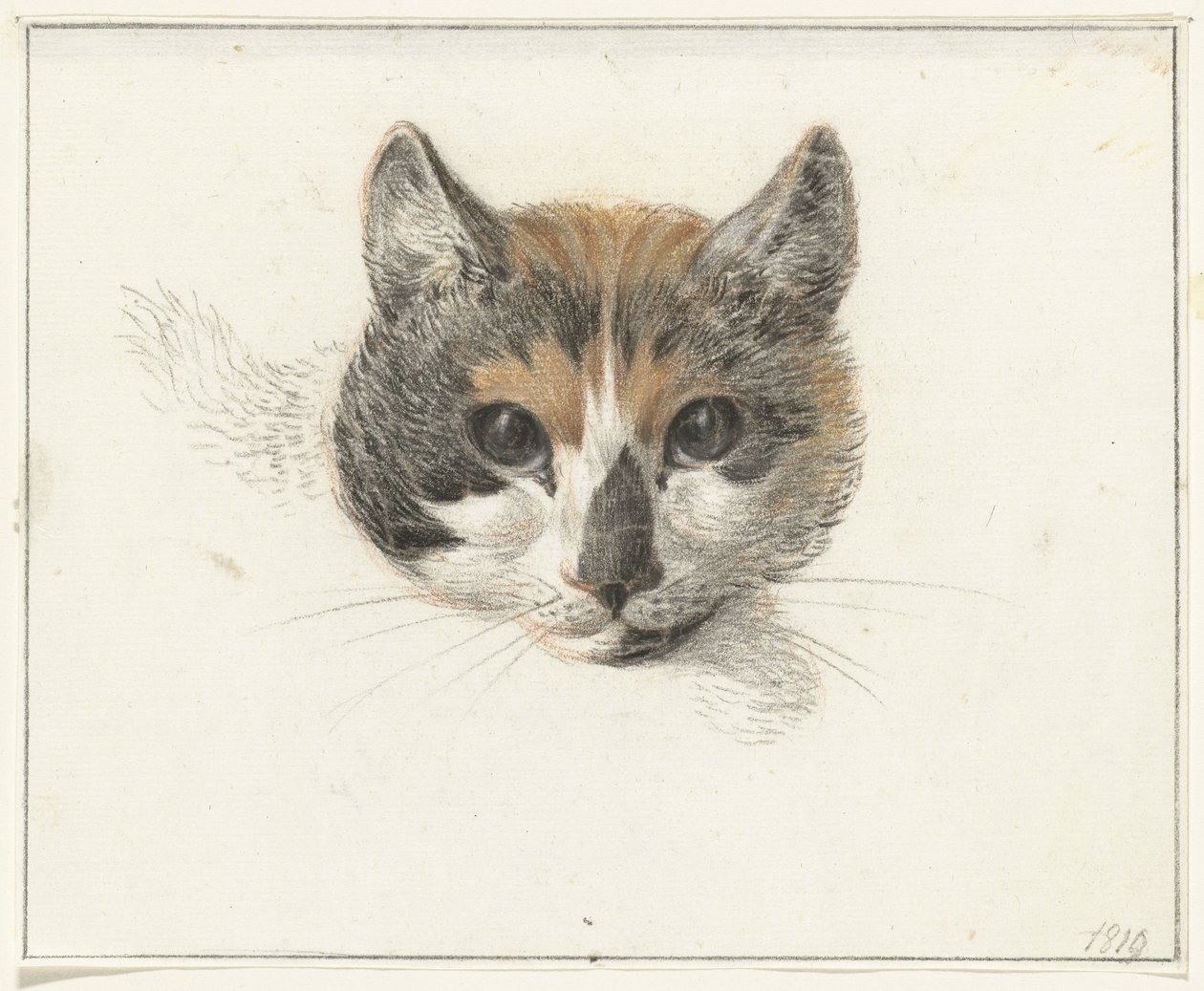 Cabeza de un gato manchado, de frente, con los ojos abiertos de Jean Bernard