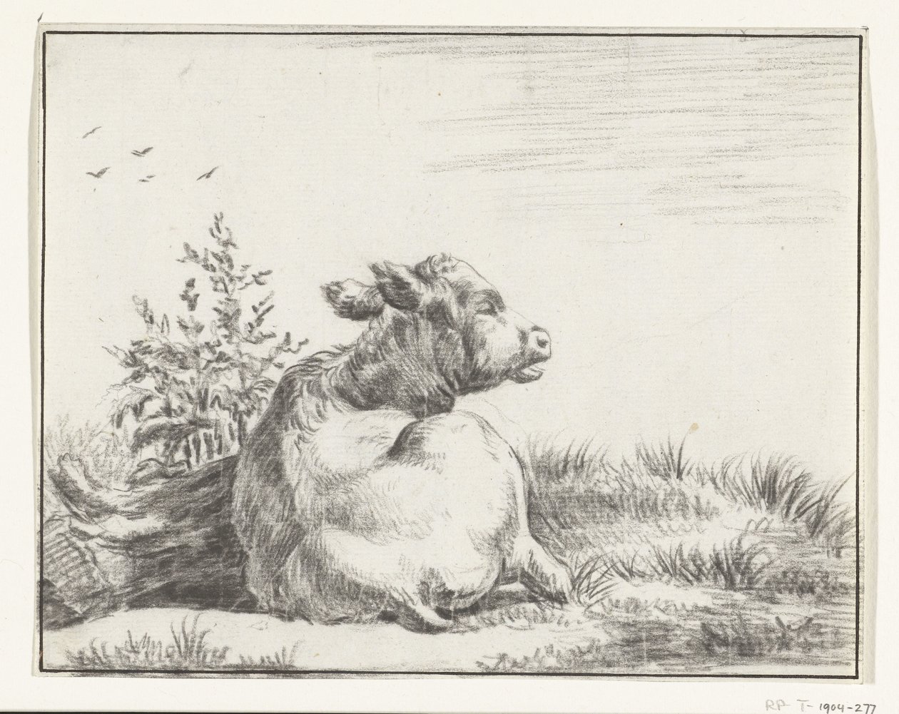 Vaca reclinada, desde atrás de Jean Bernard