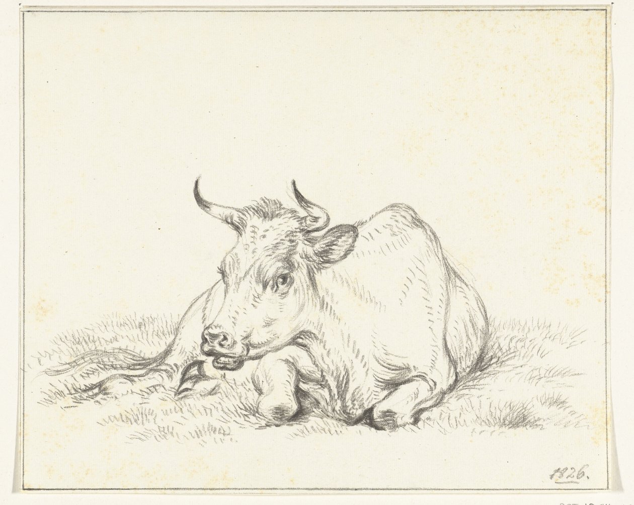 Vaca reclinada, de frente de Jean Bernard