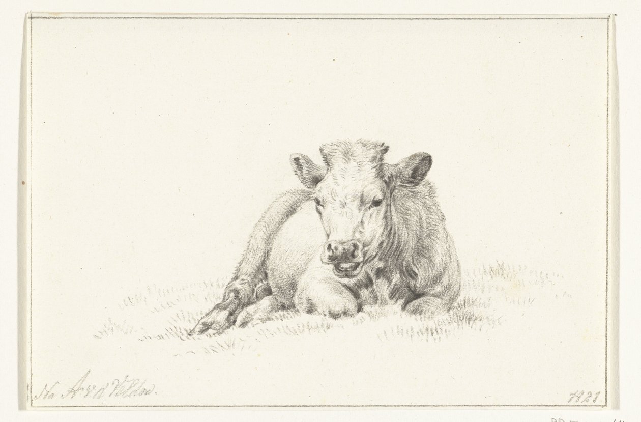 Vaca reclinada, de frente de Jean Bernard