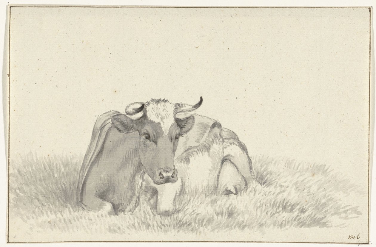 Vaca reclinada, de frente de Jean Bernard
