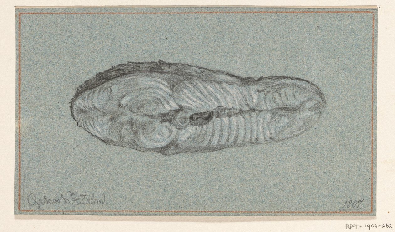 Filete de salmón cocido de Jean Bernard