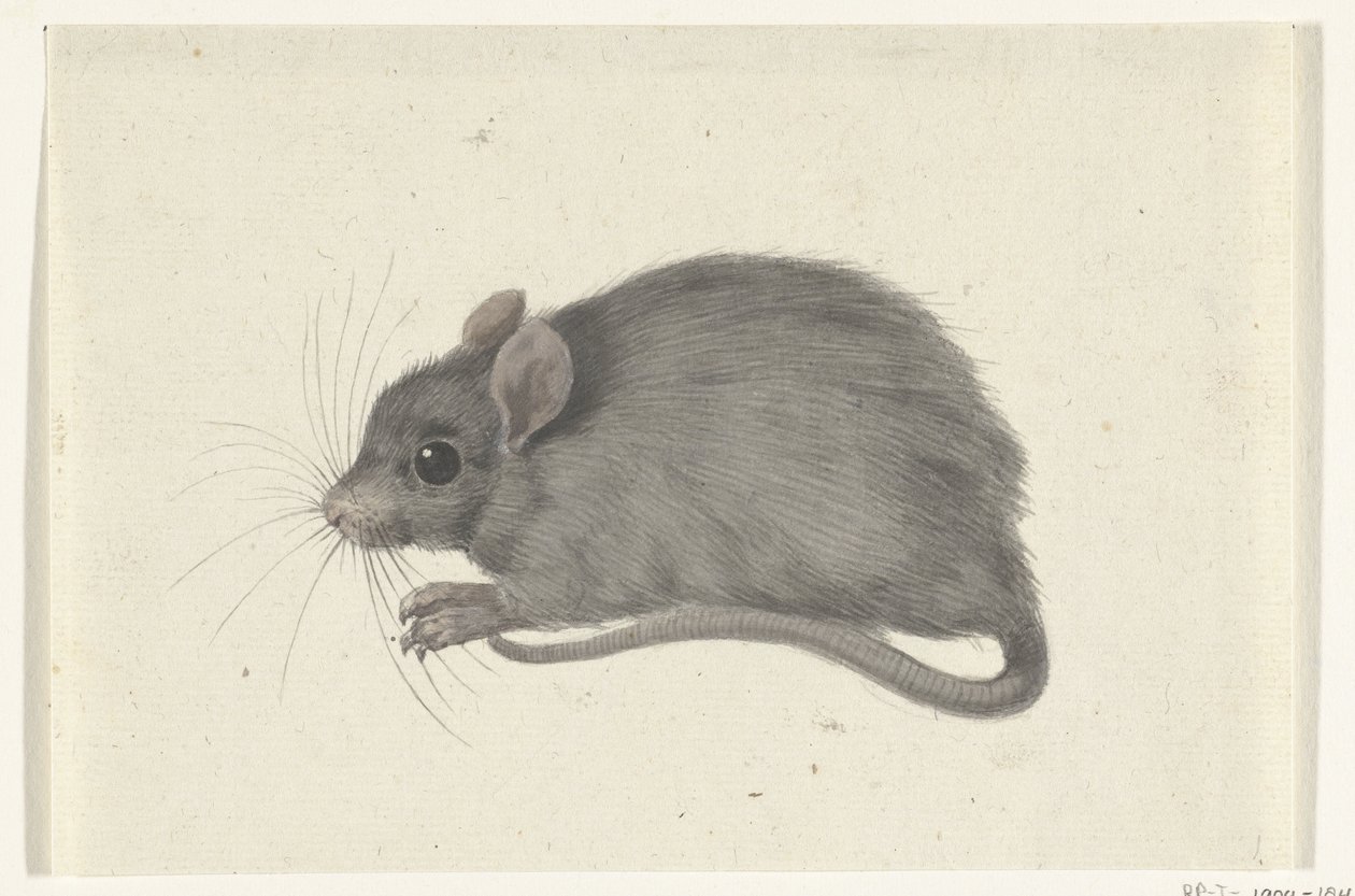 Ratón, a la izquierda de Jean Bernard