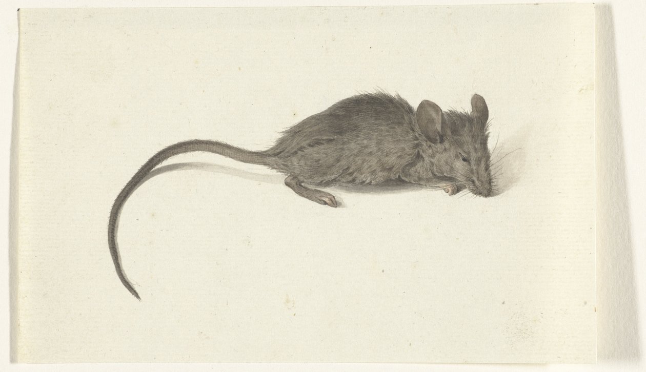 Ratón, a la derecha de Jean Bernard