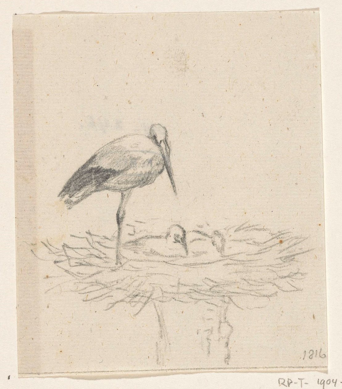 Cigüeña en nido de Jean Bernard