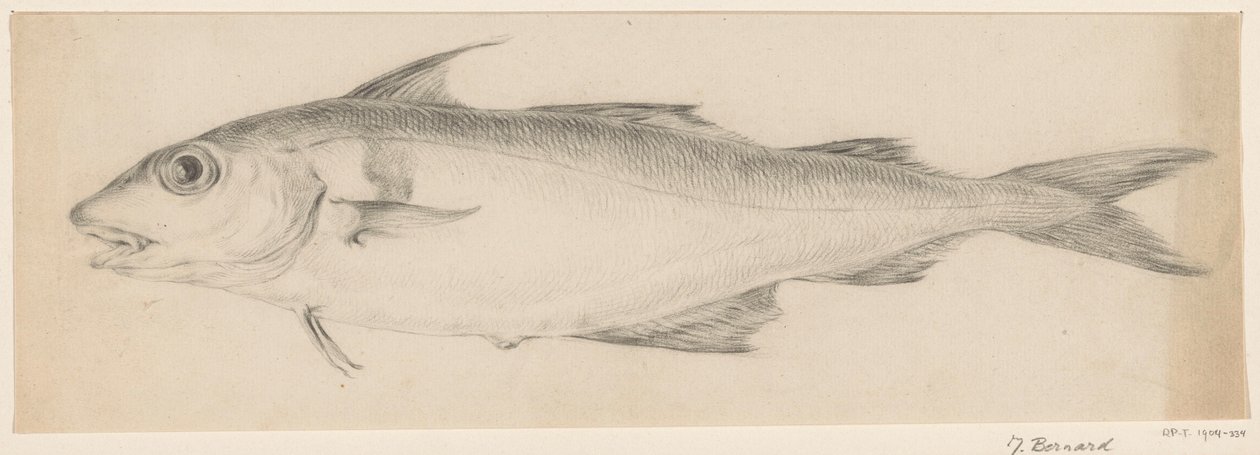 Pescado, a la izquierda de Jean Bernard