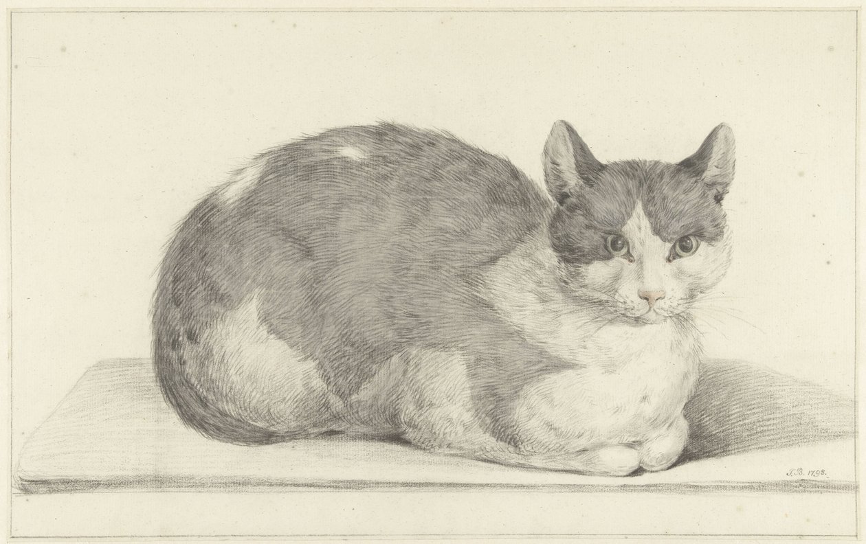 Gato sentado, a la derecha de Jean Bernard