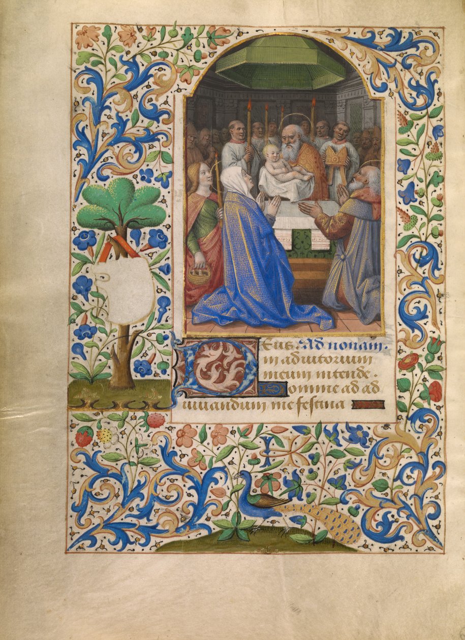 Die Darstellung im Tempel de Jean Bourdichon
