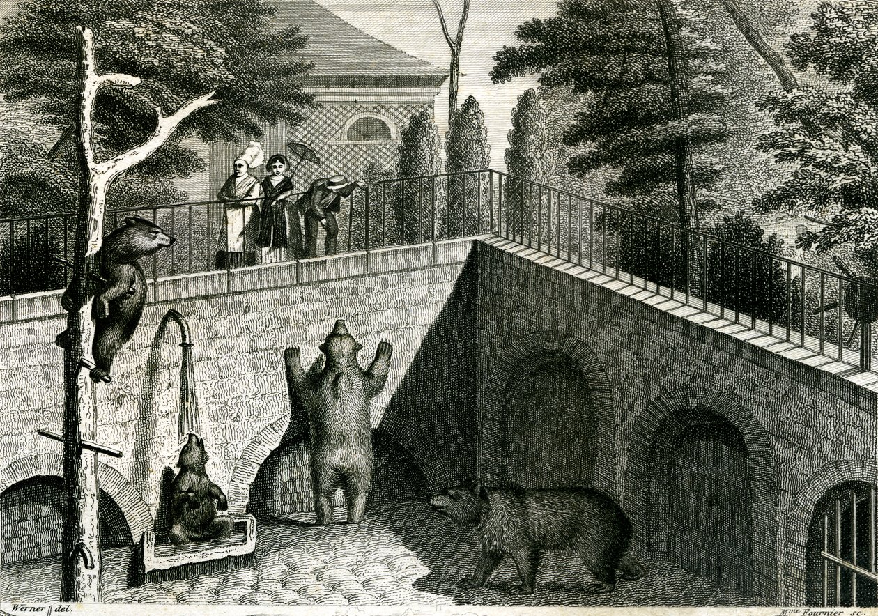 Guarida de osos en un zoo de Jean Charles Werner