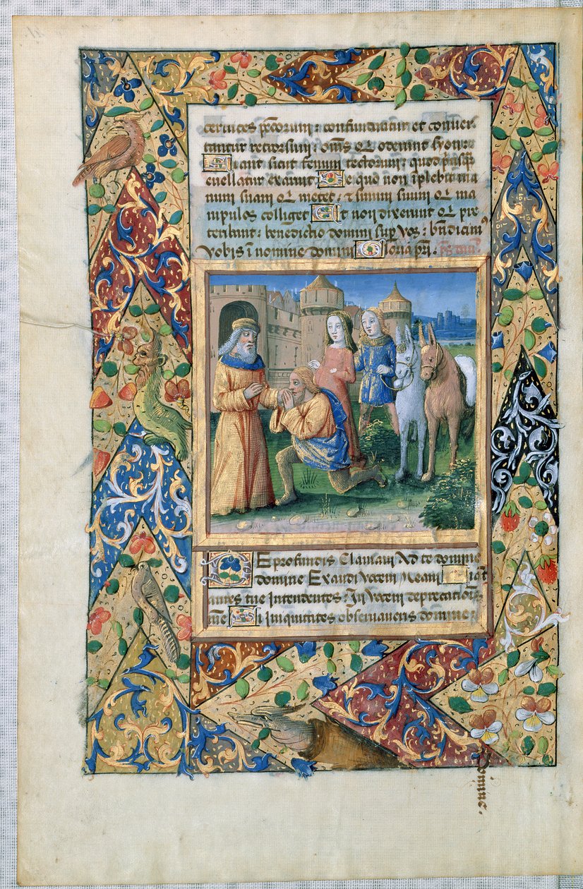 Ms Lat. Q.v.I.126 Escena de las 