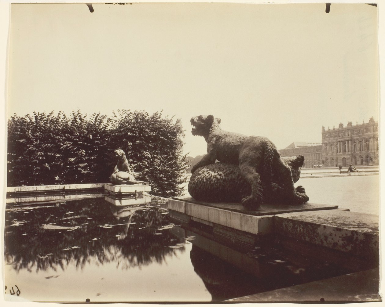 Versalles, Fontaine du Point du Jour, (Tigre Terrassant un Ours de Houzeau) de Jean Eugène Auguste Atget