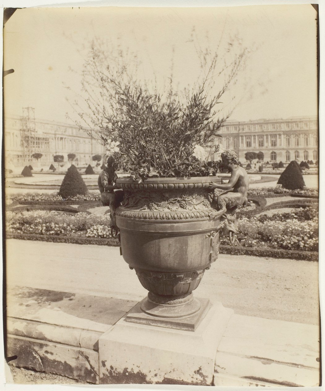 Versailles, Jarrón de Ballin de Jean Eugène Auguste Atget