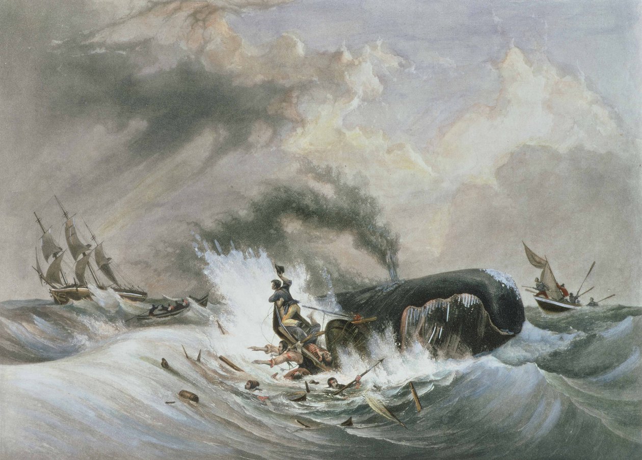 La ballena de Jean Francois (after) Garneray