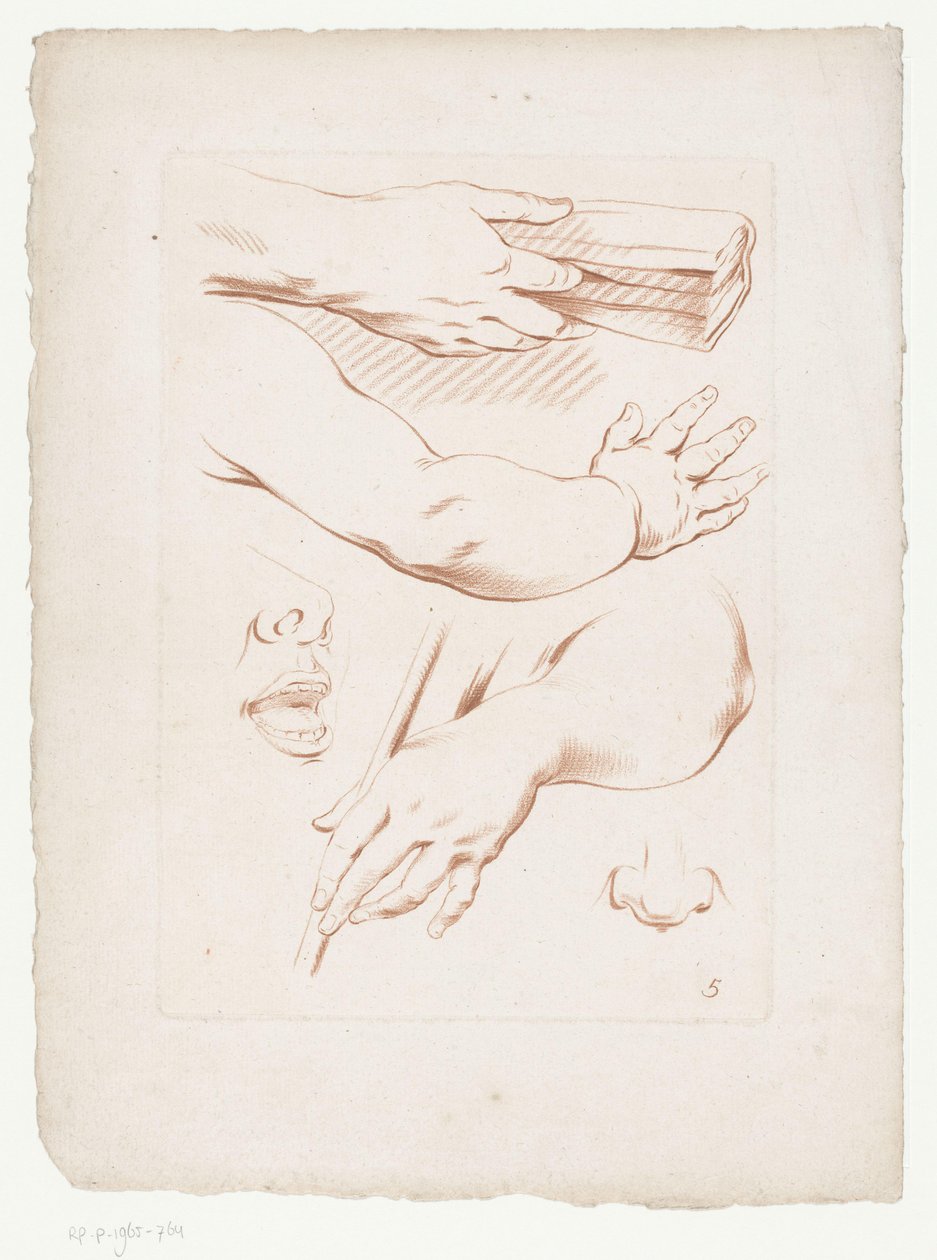 Composición con brazos, nariz y parte de una cara. Composiciones con partes del cuerpo humano (título de serie) de Jean Francois Janinet