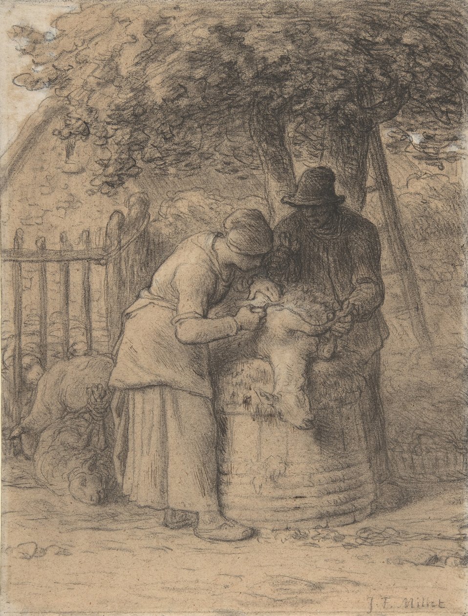 Esquila de ovejas bajo un árbol, ca. 1854 de Jean Francois Millet