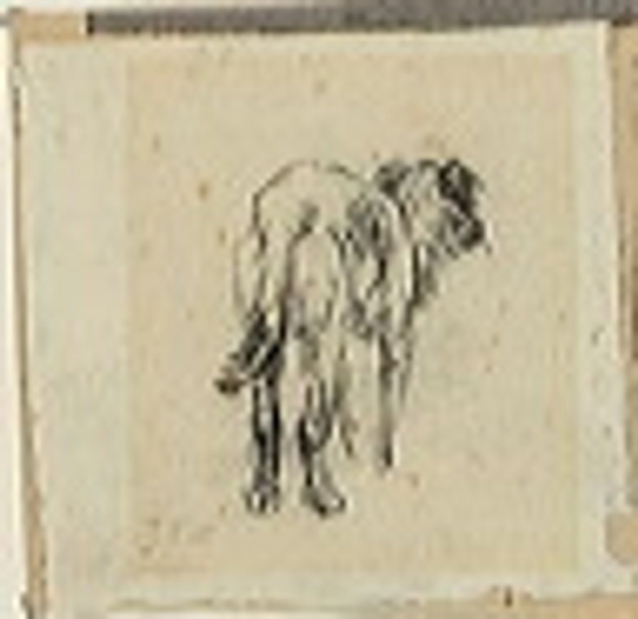 Estudio de un perro de Jean-Francois Millet