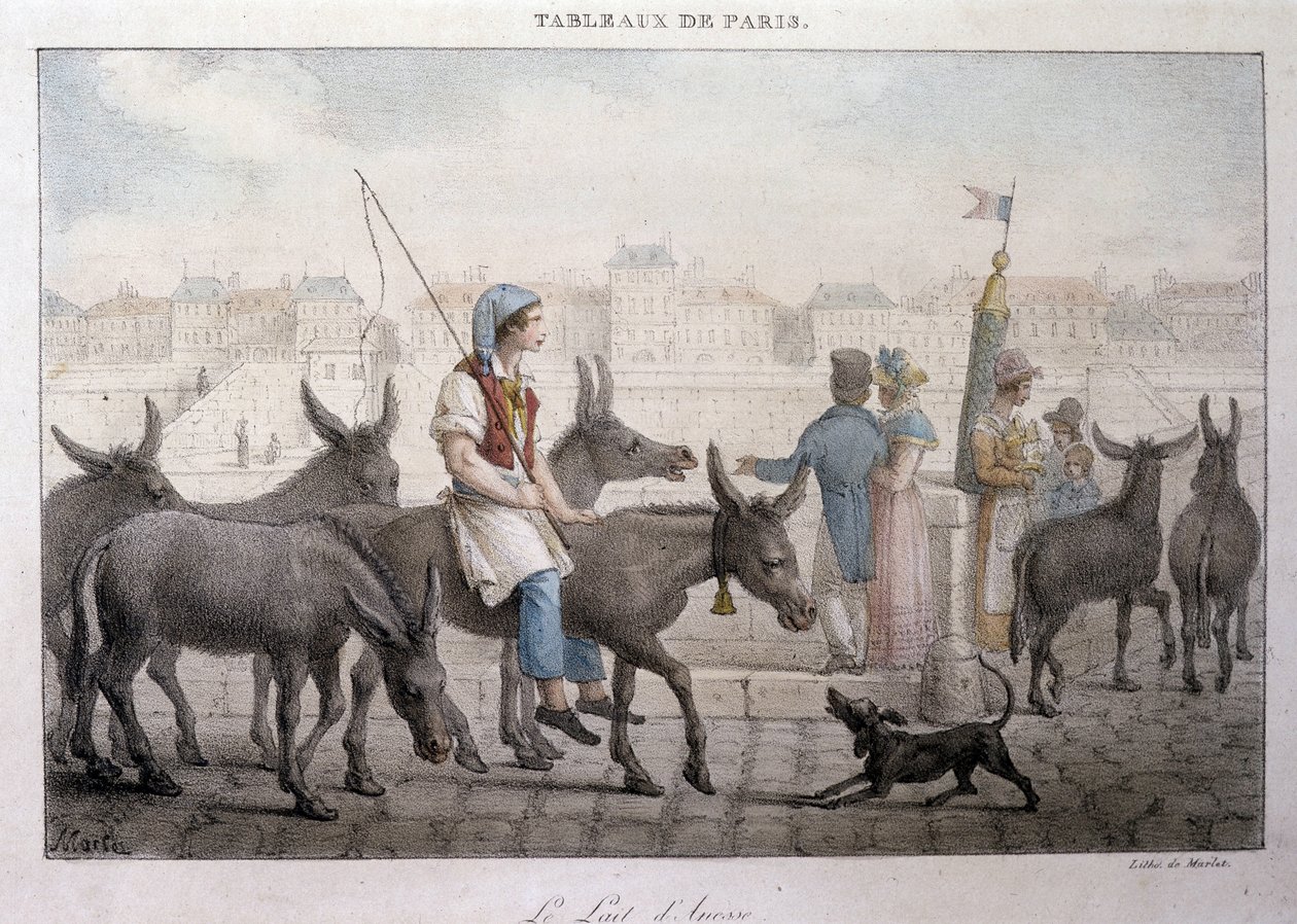 Antiguo oficio de calle en París: comerciante de leche de burra (Ane dans Paris) - Grabado por Jean Henry Marlet (1771-1847) en “Les Tableaux de Paris”, serie de 72 grabados, finales del siglo XIX de Jean Henri Marlet