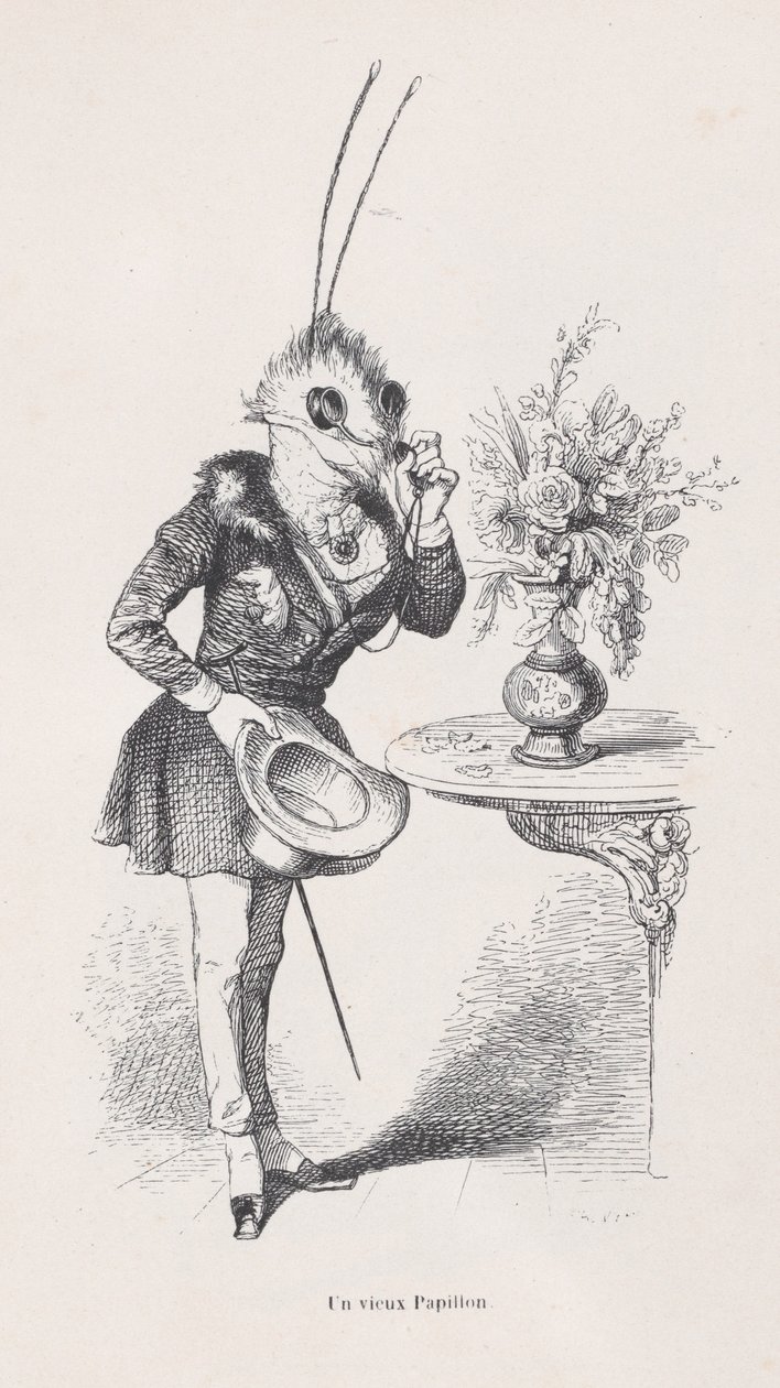 Una vieja mariposa de Escenas de la vida privada y pública de los animales, ca. 1837-47 de Jean Ignace Isidore Gérard