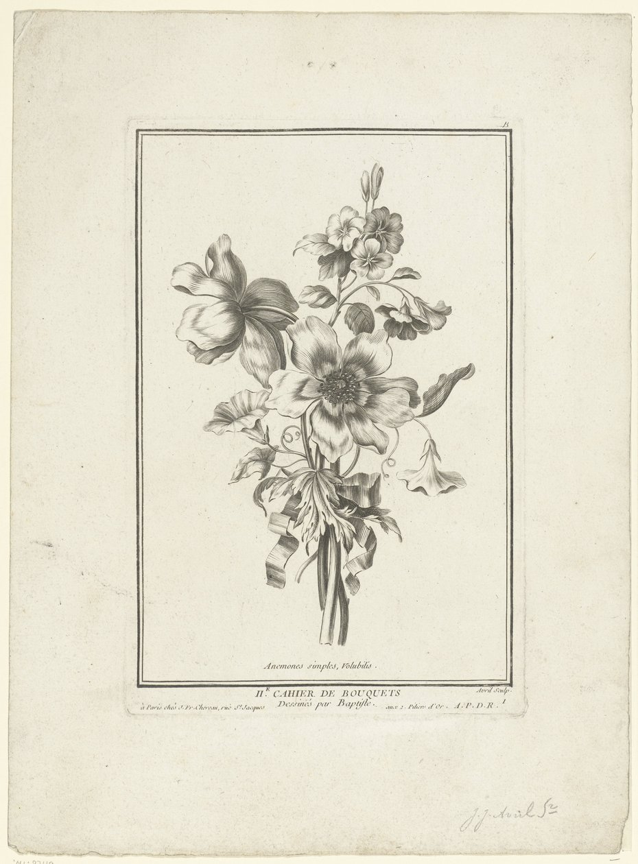 Ramo de anémona y correhuela Anémonas simples, Volubilis (título sobre objeto) IIe Cahier de Bouquets (título de la serie) de Jean Jacques Avril (I)