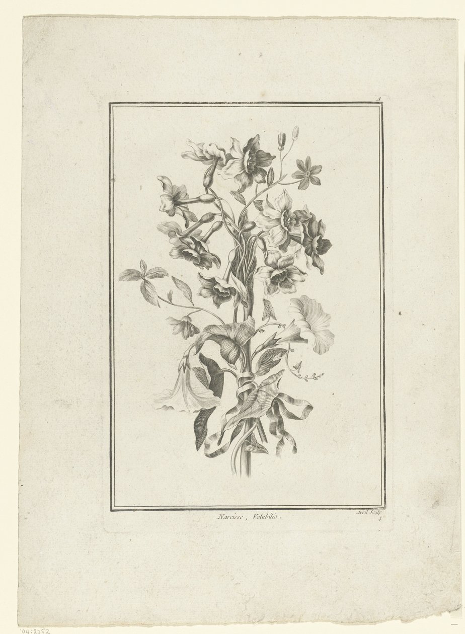 Ramo de narcisos y enredaderas Narciso, Volubilis (título sobre objeto) IIe Cahier de Bouquets (título de la serie) de Jean Jacques Avril (I)