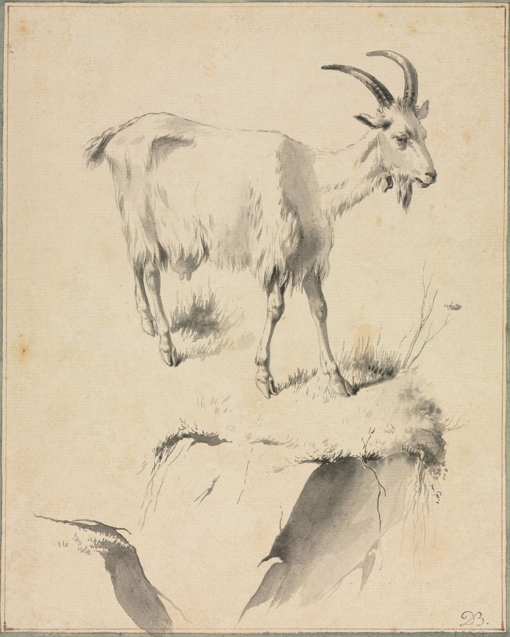 Estudio de una cabra, 1700s de Jean Jacques de Boissieu