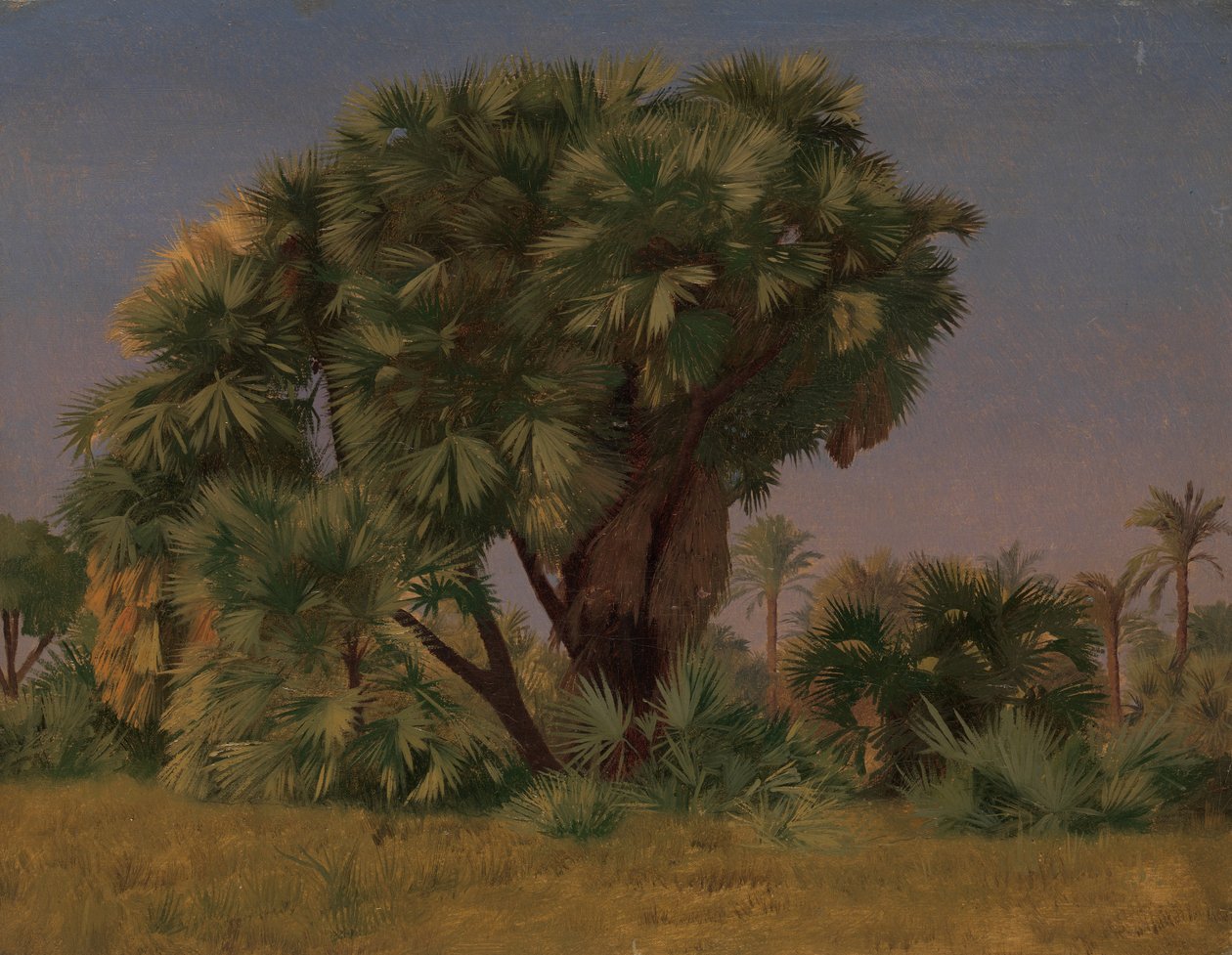 Estudio de Palmeras, probablemente 1868 de Jean Leon Gerome