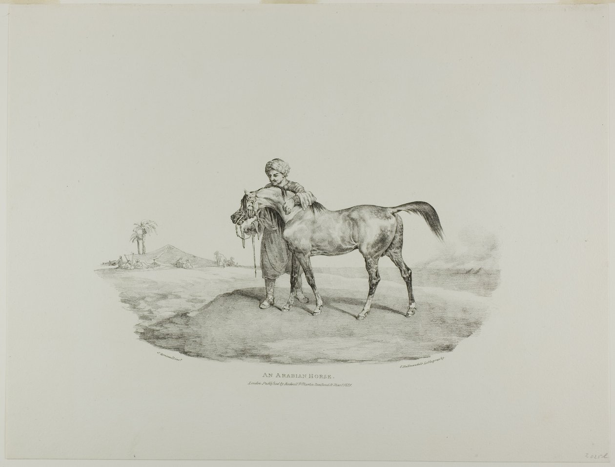 Un caballo árabe, lámina 8 de Various Subjects Drawn from Life and on Stone (The English Suite) de Jean Louis André Théodore Géricault