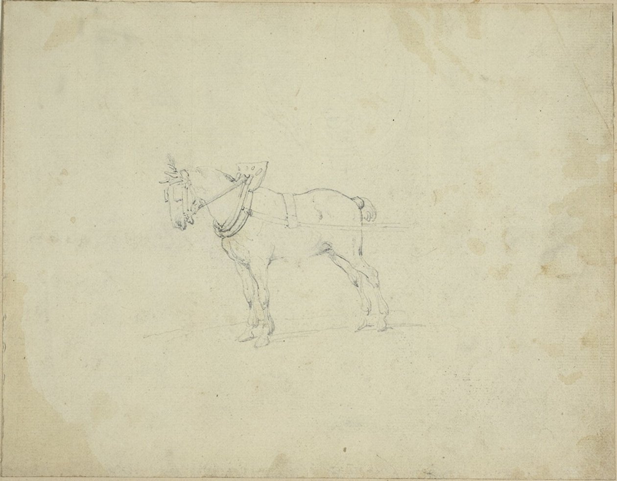 Caballo de tiro de Jean Louis André Théodore Géricault